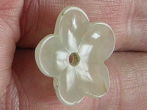 Flower  86 - (8129)